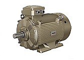 Трехфазный асихронный двигатель WE Wolong