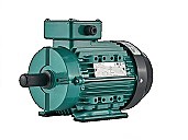 Трёхфазный асинхронный двигатель WPN Wolong