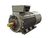 Низковольтный асинхронный двигатель высокой мощности YE Wolong